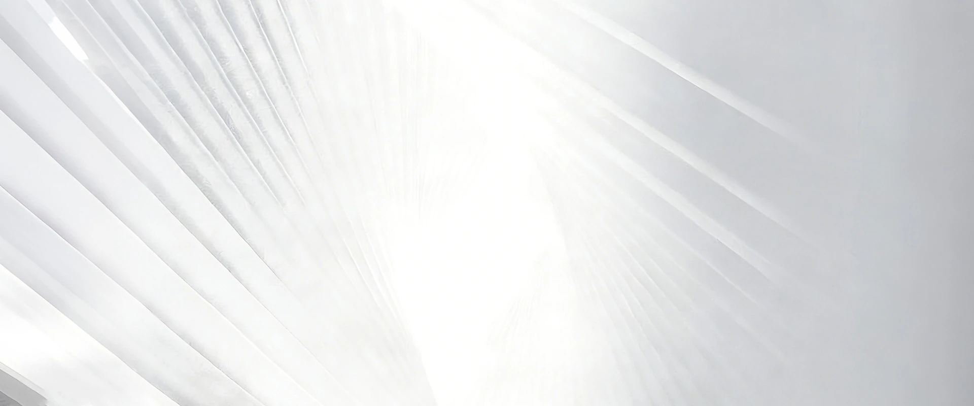 Professional Aesthetic Machine